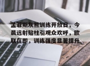 九游体育-包含孟菲斯灰熊训练开放日，今晨远射贴柱引观众欢呼，欧联在即，训练强度显著提升的词条