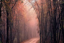 九游体育- 俯瞰巴塞罗那 